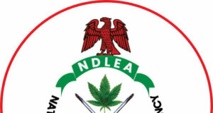 NDLEA Intercepts Cannabis Hidden in Trucks, Arrests Dozens in Edo