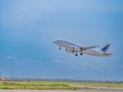 United Nigeria Airlines Reports 7 Bird Strikes, Calls for Urgent Airport Safety Action